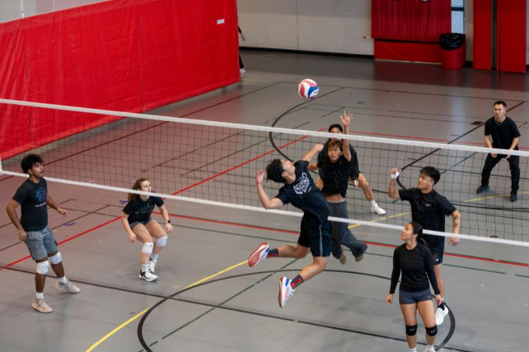 Volleyball